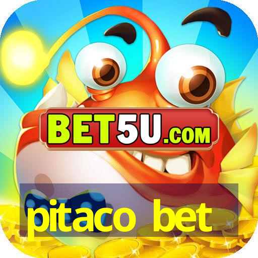 pitaco bet